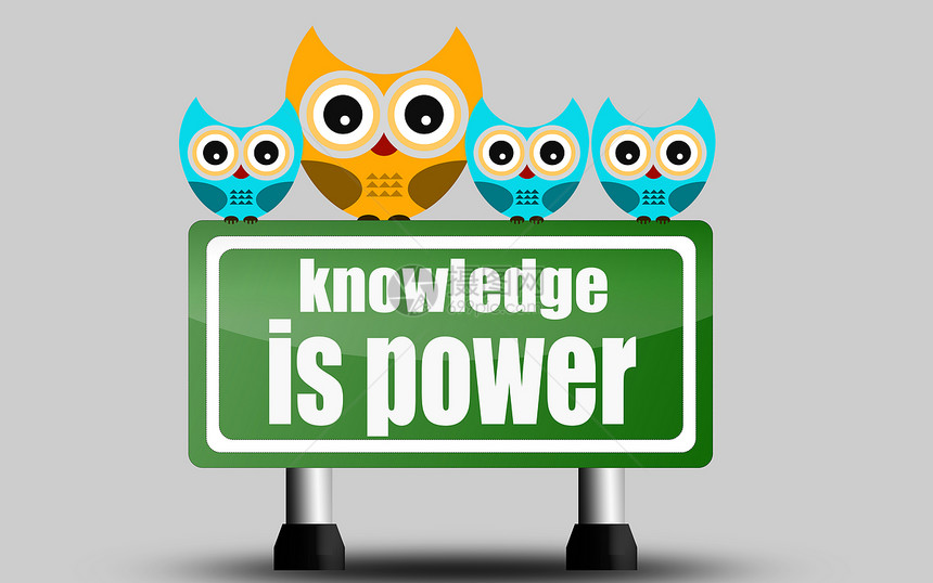 知识是有可爱猫头鹰的电路标志3D投影图片