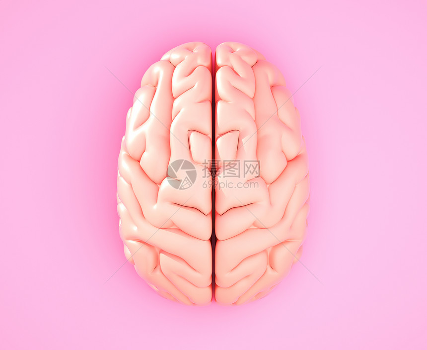 彩色背景上的粉红大脑3D插图图片