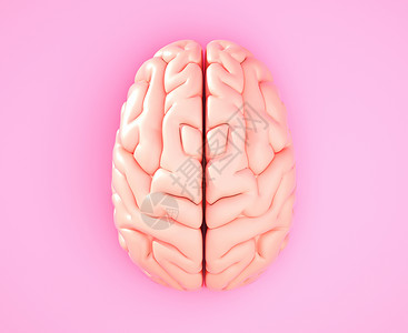 多彩大脑彩色背景上的粉红大脑3D插图背景
