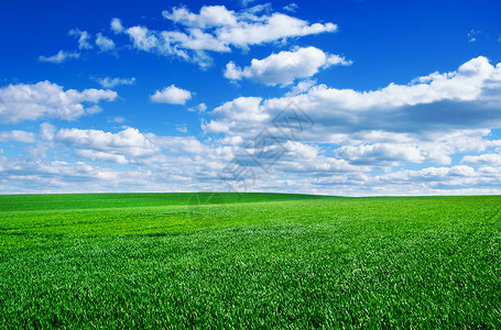 绿色草地和明蓝天空的图像图片