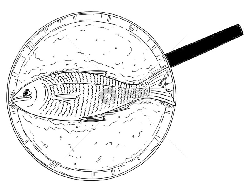 卡通画图展示在煎锅上煮熟的鱼食品顶级视图图片