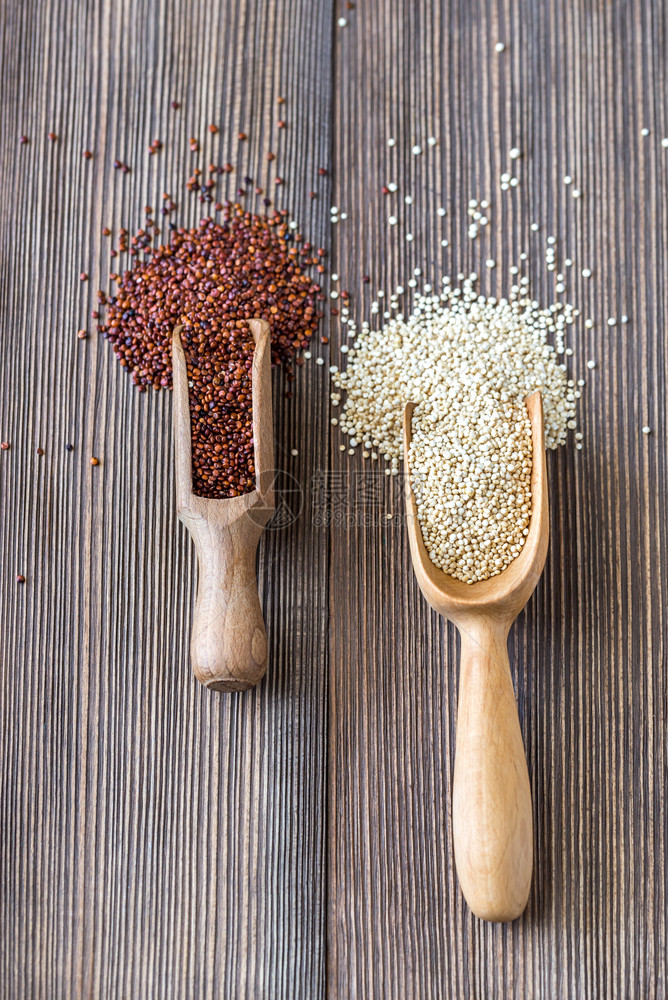 木本底的原白和红quinoa图片