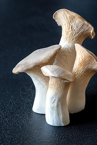 King牡蛎蘑菇图片