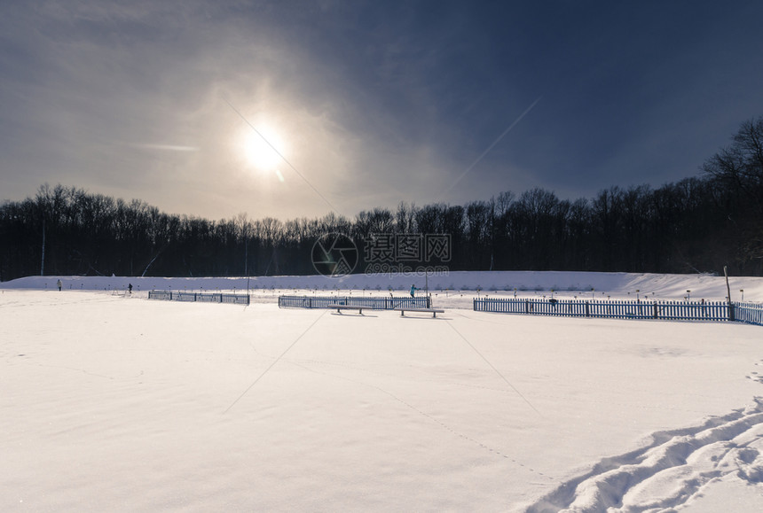 Biathlon森林场图片