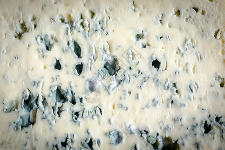 蓝奶酪的纹身图片