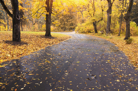 秋天风景自然的构成公园路图片