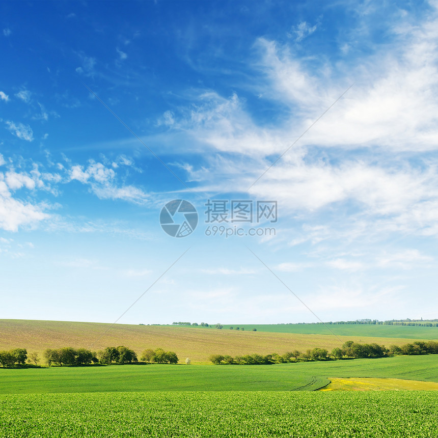 绿春玉米田和蓝天空复制间图片