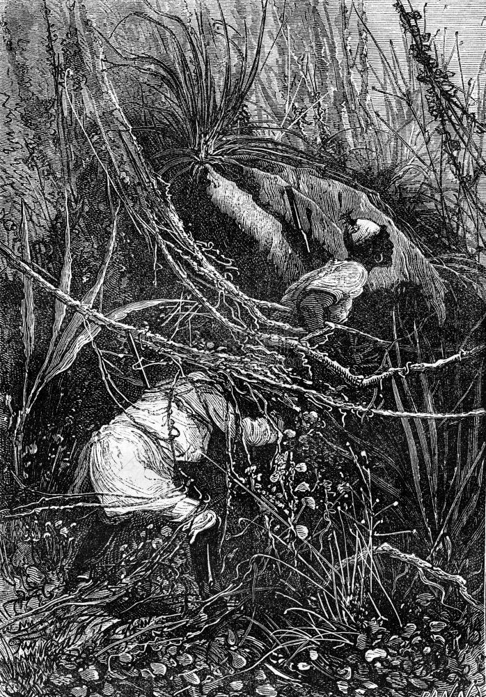 布希曼和约翰爵士滑倒在灌木丛下刻着古老的插图朱尔斯凡纳3Russian和3English1872年图片