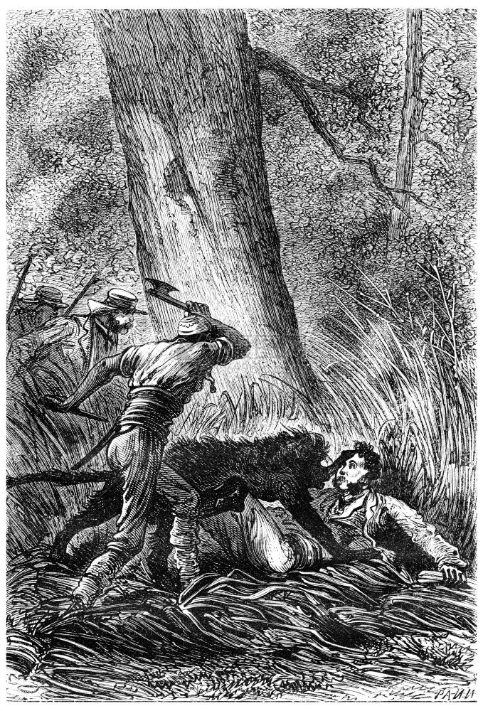 Bushman手头的斧刻有古老的插图JulesVerne3Russian和English1872年图片