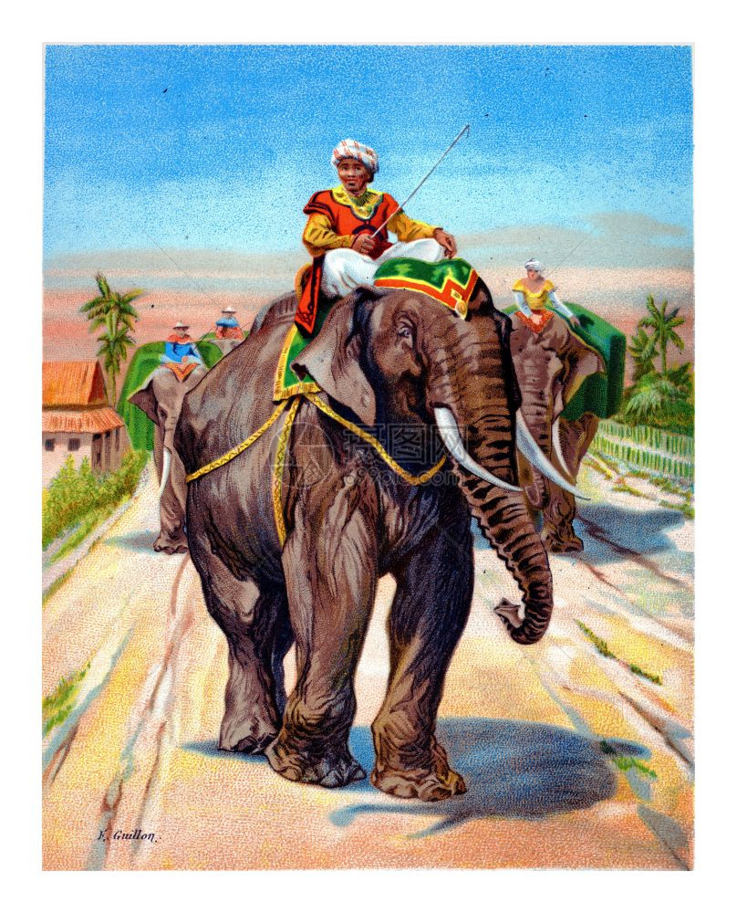 动物野生和家畜大象雕刻的古老插图图片