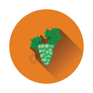 以ui颜色显示的grape的平板设计图标矢量插图片