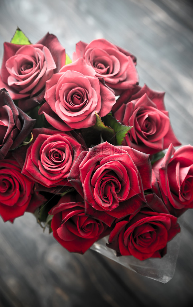 红色玫瑰花团图片