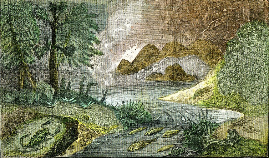 在伯尔米安时期大陆和淡水的定居由自然创造和生物组织撰写的陈年插图图片