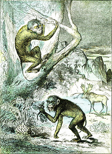 Miocene时期的叶猴古代刻画的插图来自然创造和人类图片