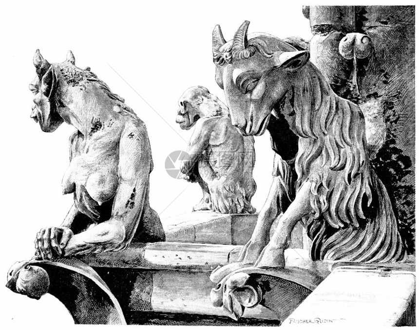 圣母院铅区最神奇的动物古老雕刻图解巴黎奥古斯特VITU1890年图片