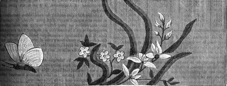 法国丝绸十八世纪下半叶17493年1875年工业百科全书EOLami图片