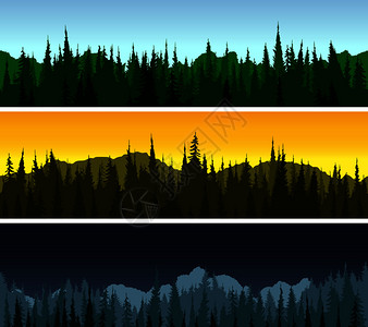 森林全景三种模式光和白天时间不同图片