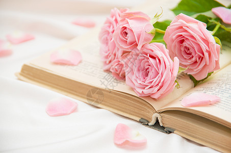 粉色记忆毛笔字玫瑰和旧书粉色图像背景