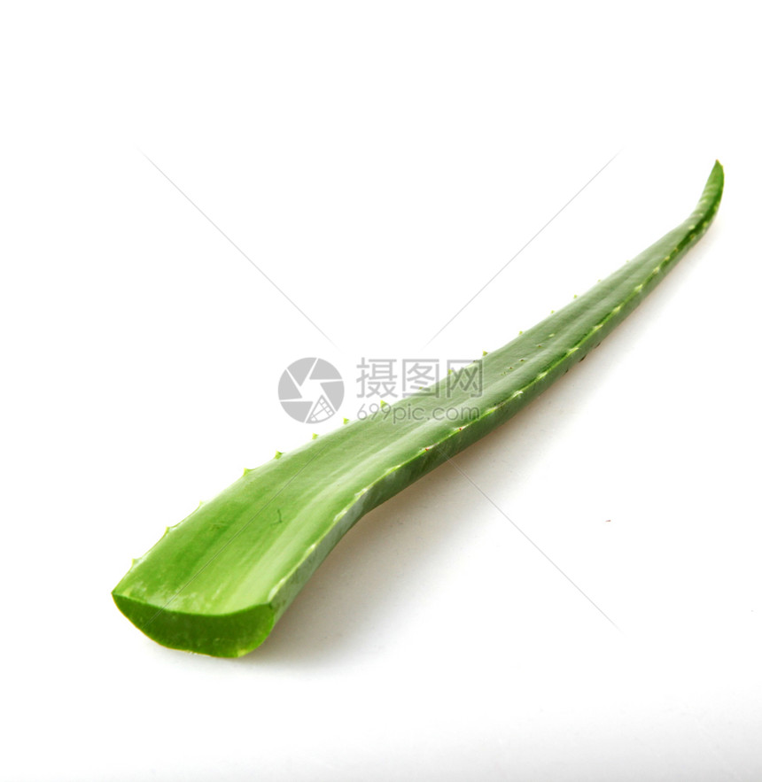 白色背景上的AloeVera图片