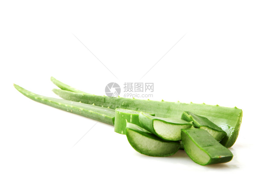 白色背景上的AloeVera图片