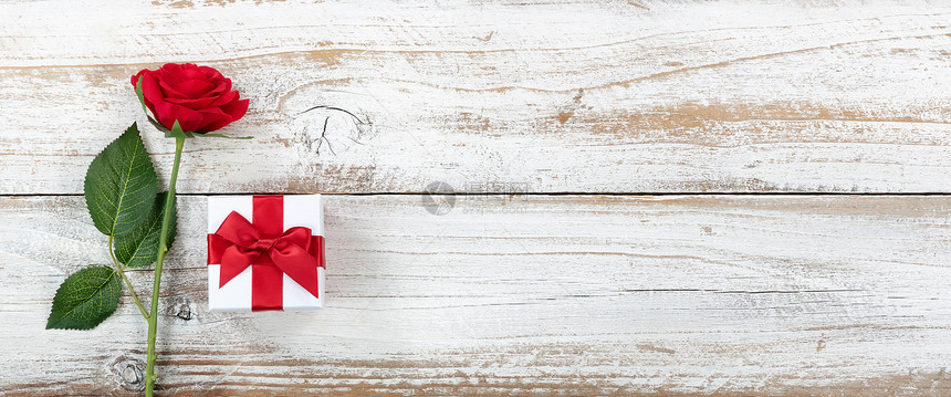 纪念年背景单红玫瑰和包装礼物盒白锈木图片