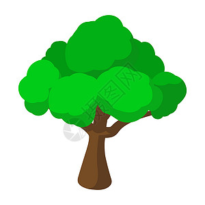 大树卡通白色背景上孤立的树形动画图标树形动画图标背景