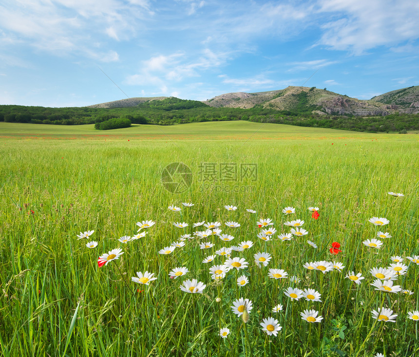 美丽的绿春草原景观自然的构成图片