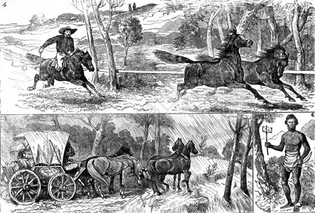 Fig4野马的比赛Fig5教练用冰水停车图6本地字母的携带者古老刻画图旅行日记18790年旅行日记JournaldesVoyag背景图片