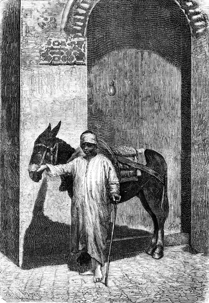 大撒哈拉的车辆驴子驾驶员通常是一个美丽的人有古老雕刻插图旅行杂志18790年图片