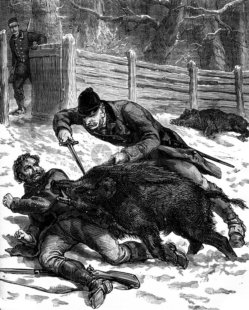 猎杀野猪其中一种动物被扔在名卫兵身上刻有古老的图解旅行日报18790年图片