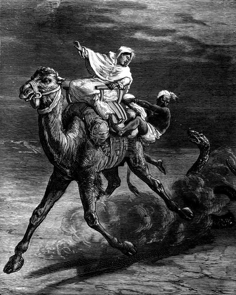 大型蛇在追逐骆驼时匆忙奔跑古老的雕刻插图旅行杂志180年0年图片