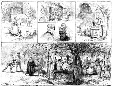 摘取诺曼底苹果酒类型和表格古典刻画图旅行杂志180年背景图片