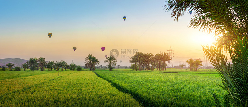 埃及的Luxor热气球日出时在沙漠绿洲上升起图片