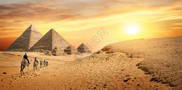 埃及的骆驼车队和吉萨金字塔高清图片