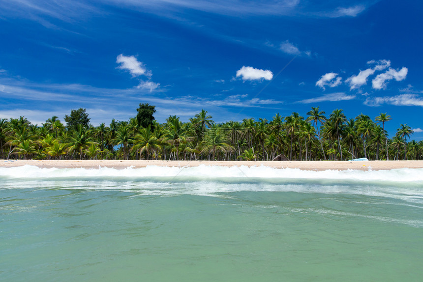斯里兰卡热带海滩旅游暑假和期概念图片
