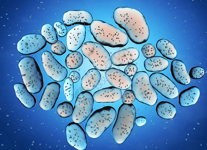 细菌的殖民地3D说明细菌的殖民地图片