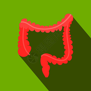 肠内营养绿色背景上有阴影的科隆平面图标带阴影的科隆平面图标插画