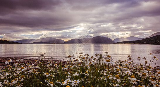 岩岸高地鲜花苏格兰美丽的神秘地貌湖风景天空多云鲜花和太阳光背景