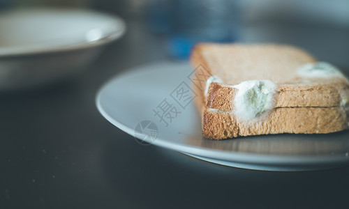 易逝的烤面包片上有绿色点菜背景