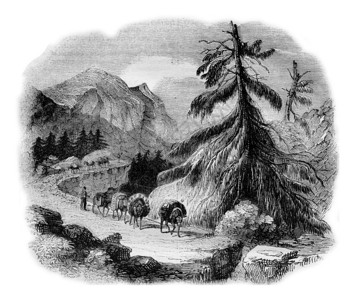 1836年马加辛皮托雷克高清图片