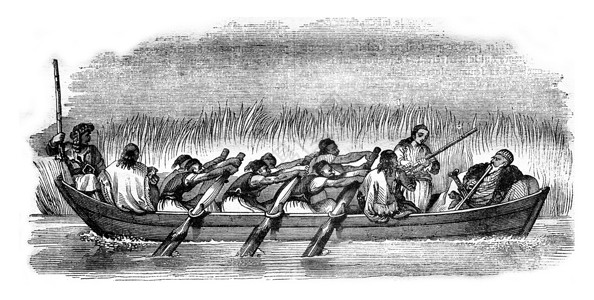 这张支票是三对桨由六条划船起动184年马加辛皮托罗尔克图片