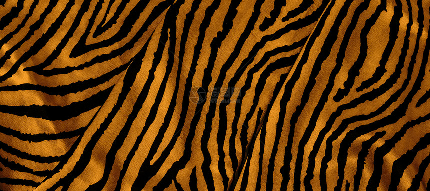 背景图案纹理壁纸加上动物老虎皮肤的颜色图片