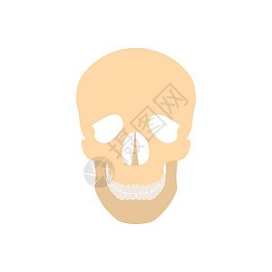 复古风格头骨白色背景上孤立的平板型人类头骨图标人类头骨图标背景
