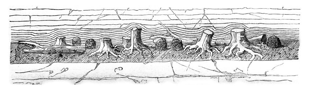 CliffPortland显示黑土层的石子古代雕刻的插图MagasinPittoresque184年背景图片