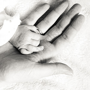 黑色婴儿素材双亲和爱的概念关紧新生儿抱着母亲的手指方形黑白照片背景