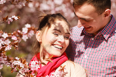 情侣在樱花树下约会背景图片