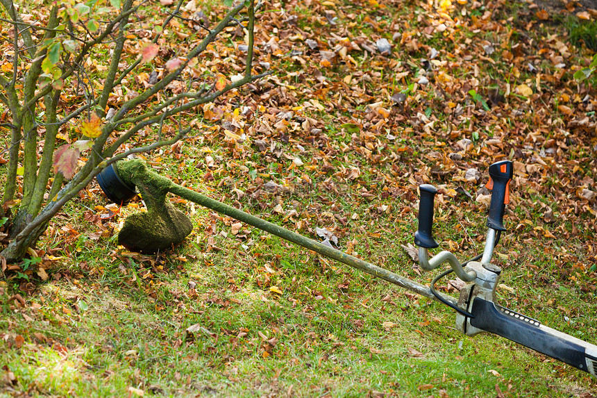 位于绿草上的碎石割机季节园林清洁器物体概念摩尔人用绿草刷树图片