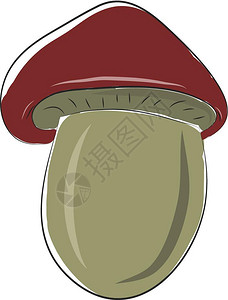 蘑菇有棕色的彩帽和鳄梨绿色的矢量彩画或插图图片