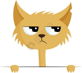 闪亮的猫一只收获金色的愤怒猫耳朵撕裂眼睛闪亮向量彩色画或插图插画