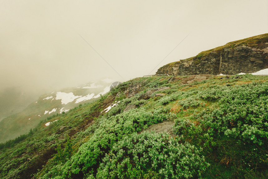 挪威夏季寒冷的雨天挪威风景优美的山脉挪威奥兰和莱达尔之间的远足地区图片